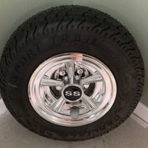 Spare Tire and Mount